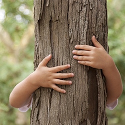 engagement environnement millet